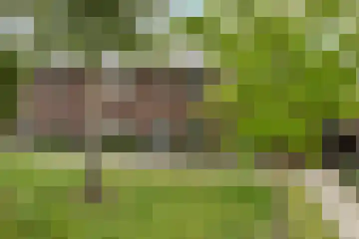 Hogepad 40 a Heerde thumbnail 32
