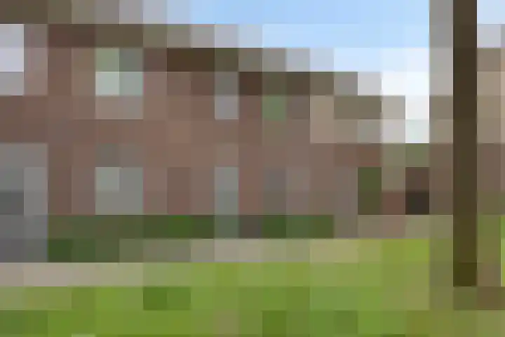 Hogepad 40 a Heerde thumbnail 33