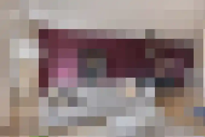 Hogepad 40 a Heerde thumbnail 4