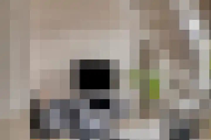 Hogepad 40 a Heerde thumbnail 6