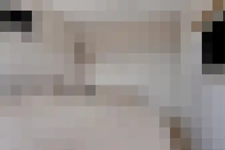 Hogepad 40 d Heerde thumbnail 14