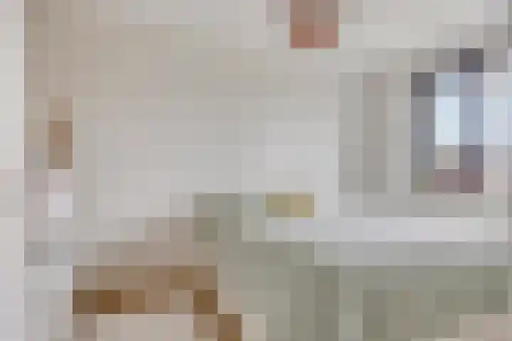 Hogepad 40 d Heerde thumbnail 15