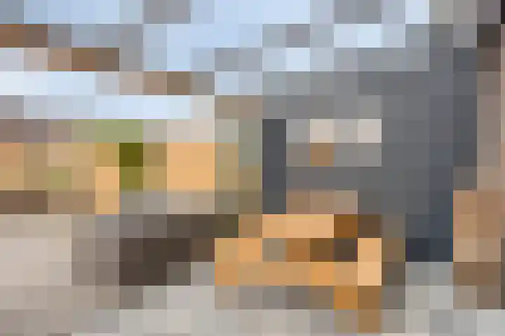 Hogepad 40 d Heerde thumbnail 26