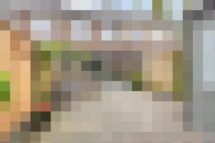 Hogepad 40 d Heerde thumbnail 29