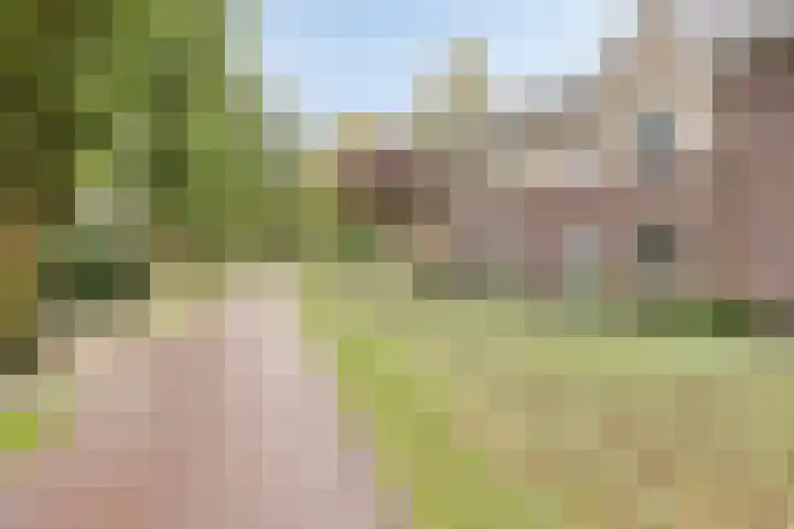 Hogepad 40 d Heerde thumbnail 35