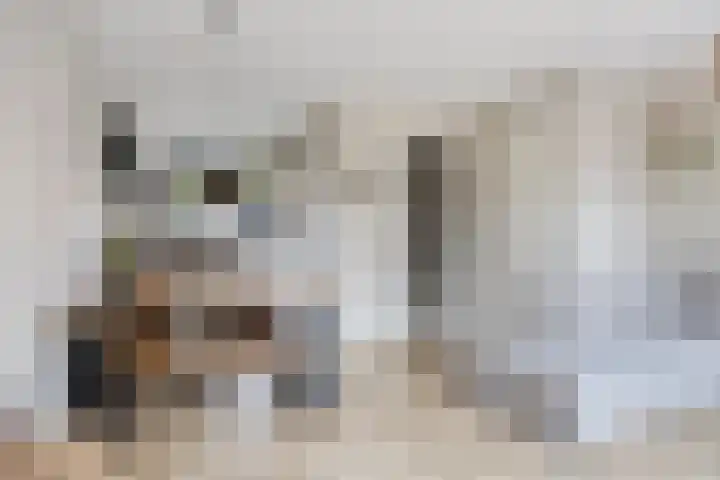 Hogepad 40 d Heerde thumbnail 6