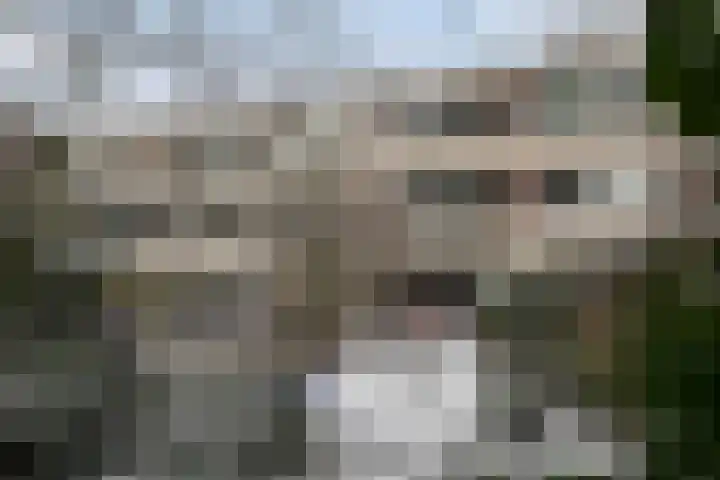 Hogerhorst 51 Ede thumbnail 27