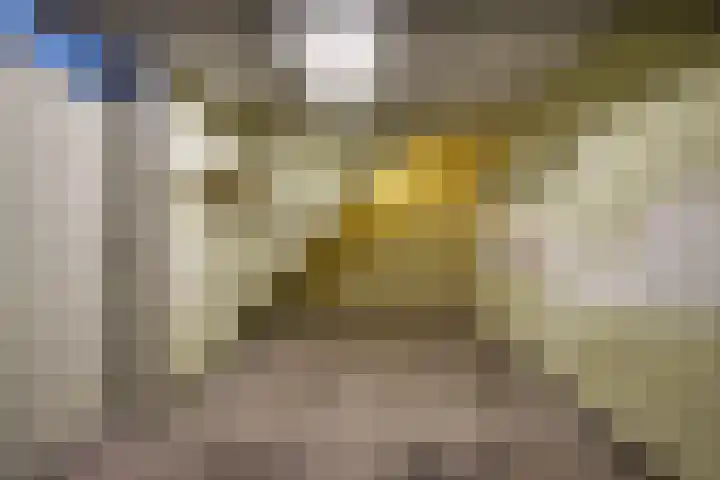 Hogerhorst 51 Ede thumbnail 29