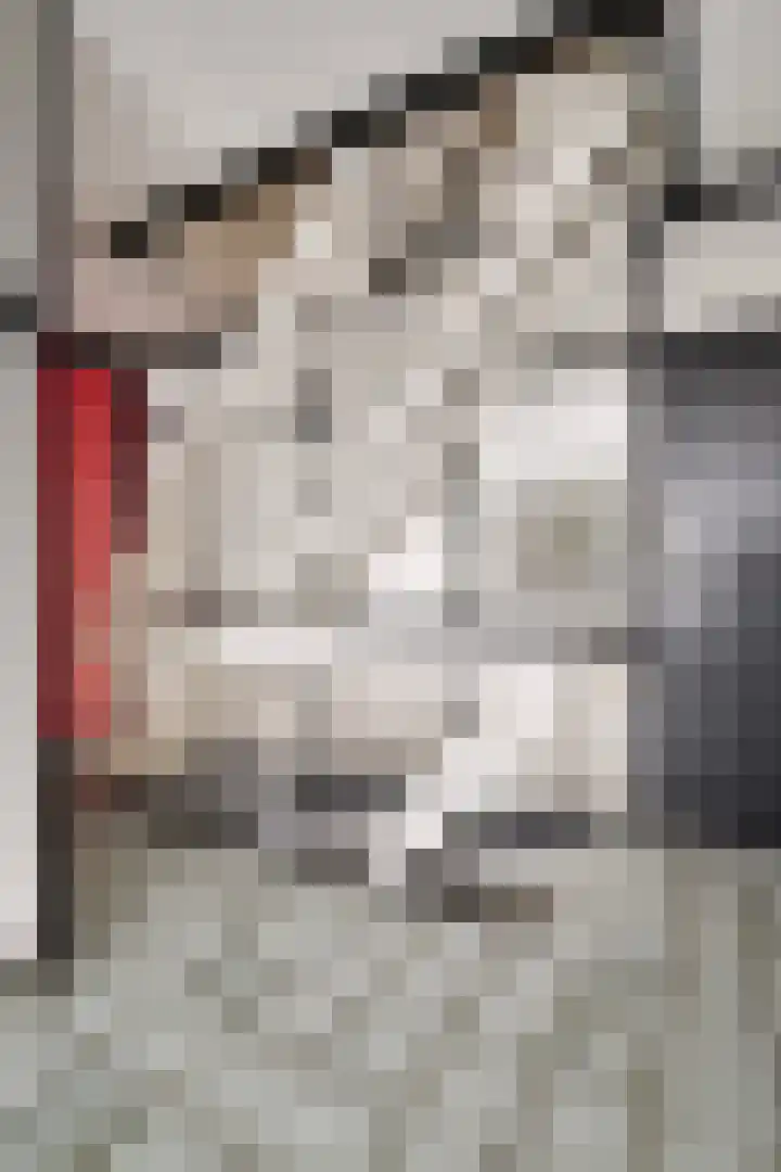 Hogerhorst 51 Ede thumbnail 6