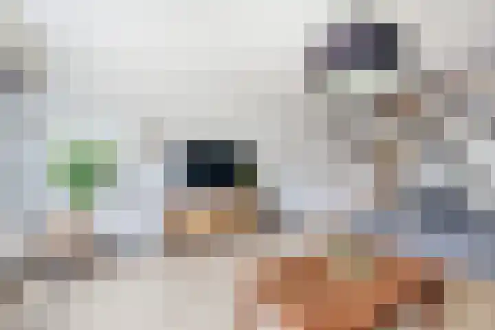 Hogerhorst 77 Ede thumbnail 12