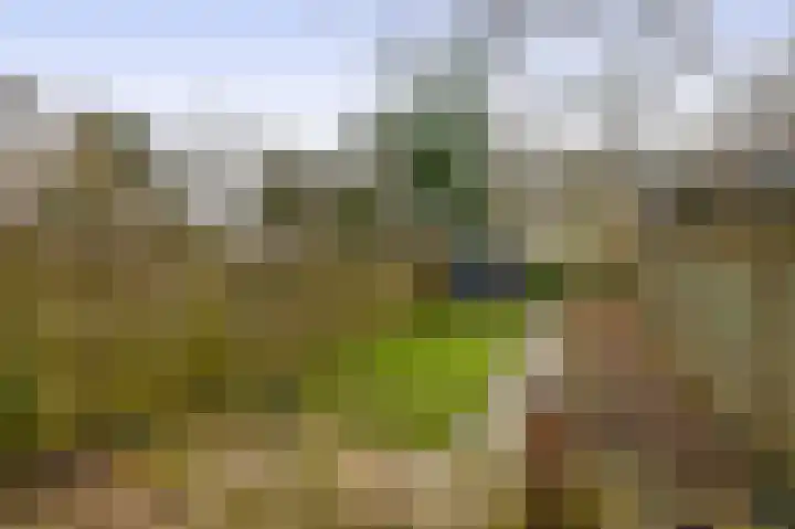Hogerhorst 77 Ede thumbnail 33