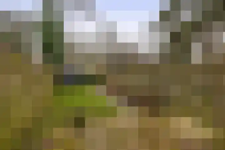 Hogerhorst 77 Ede thumbnail 34