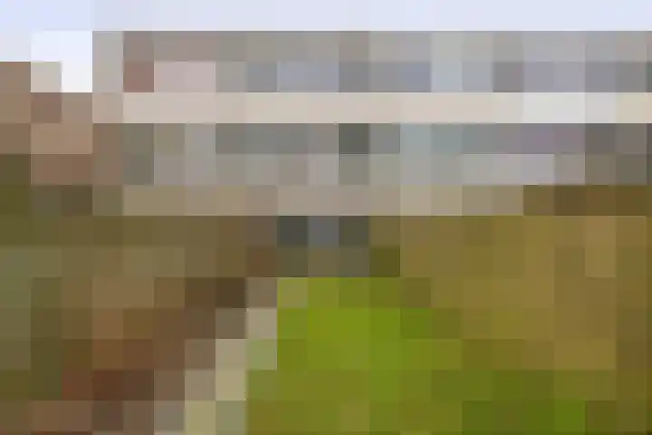 Hogerhorst 77 Ede thumbnail 35