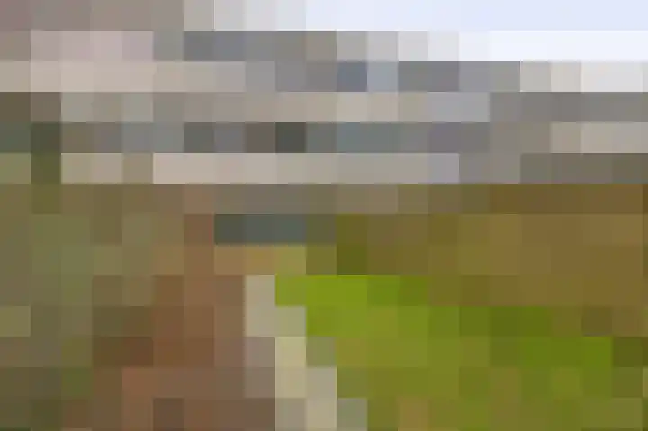 Hogerhorst 77 Ede thumbnail 36