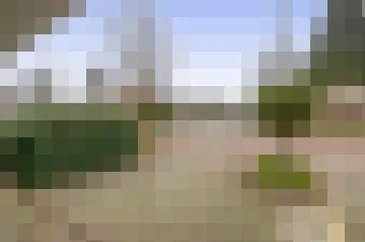 Hogerhorst 77 Ede thumbnail 5