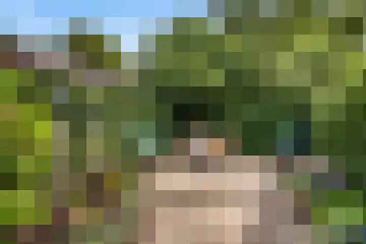 Hogerweide 7 Weert thumbnail 28
