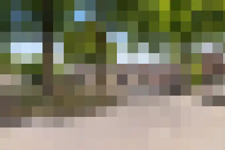 Hogerweide 7 Weert thumbnail 31