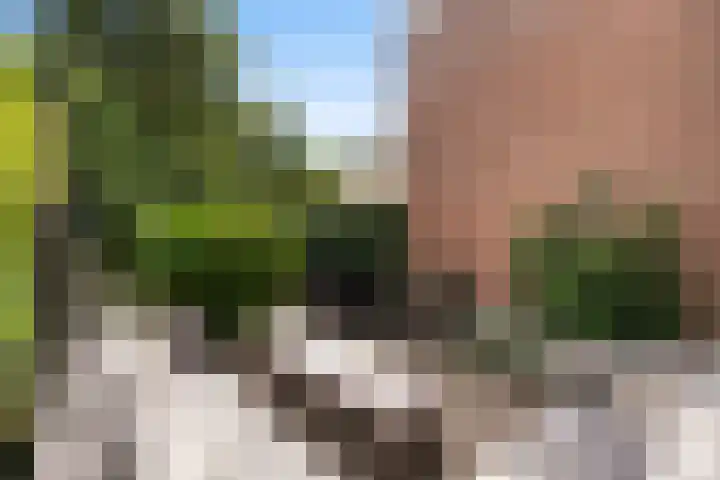 Hogerweide 7 Weert thumbnail 5