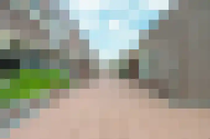 Hogestede 121 Roosendaal thumbnail 17