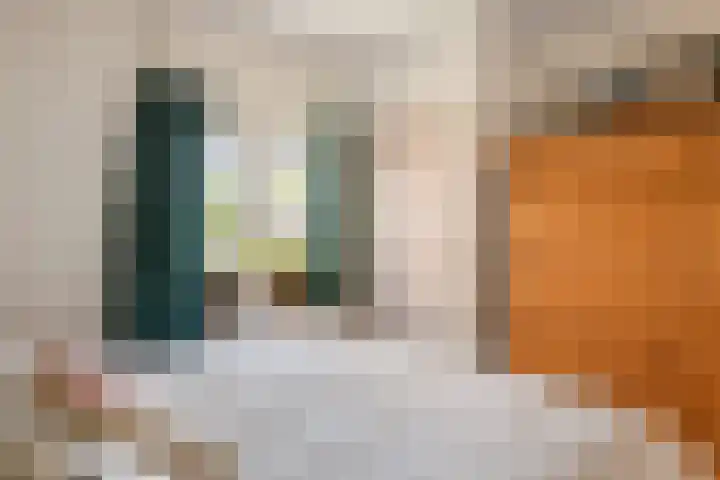 Hogesteeg 1 Rhenen thumbnail 15
