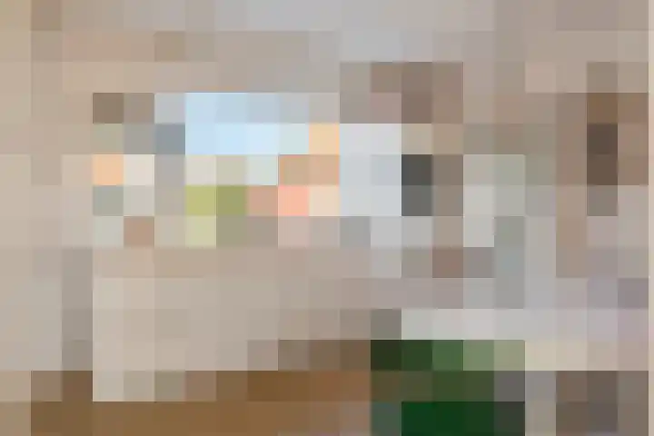 Hogesteeg 1 Rhenen thumbnail 17