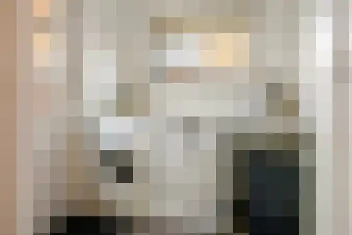 Hogesteeg 1 Rhenen thumbnail 22