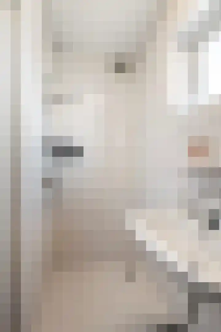 Hogesteeg 1 Rhenen thumbnail 30