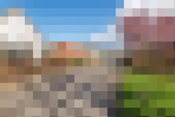 Hogesteeg 1 Rhenen thumbnail 38