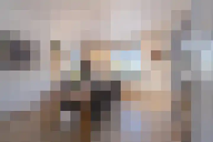 Hogestraat 2 Zoelen thumbnail 25