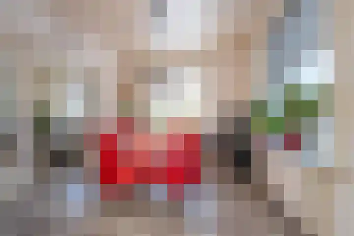 Hogestraat 2 Zoelen thumbnail 32