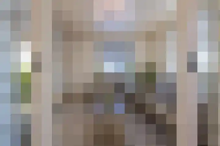 Hogestraat 2 Zoelen thumbnail 34