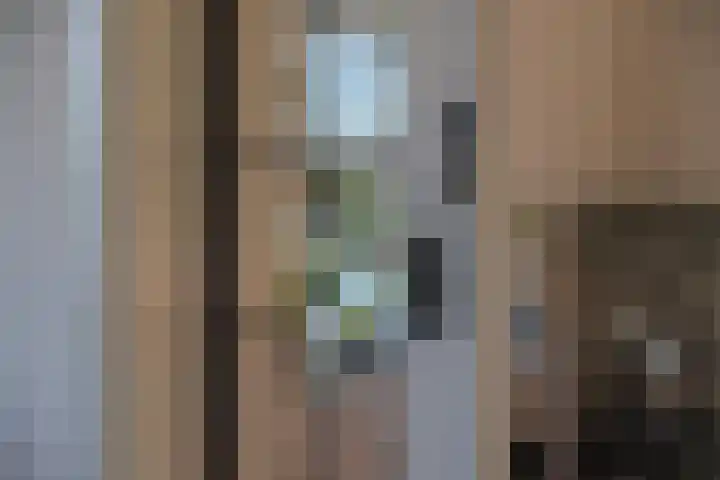 Hogestraat 2 Zoelen thumbnail 36