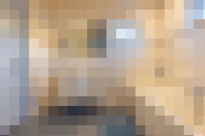 Hogestraat 2 Zoelen thumbnail 42