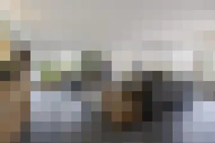 Hogestraat 3 Bosschenhoofd thumbnail 10