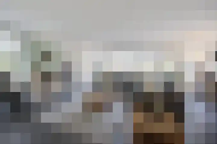 Hogestraat 3 Bosschenhoofd thumbnail 11