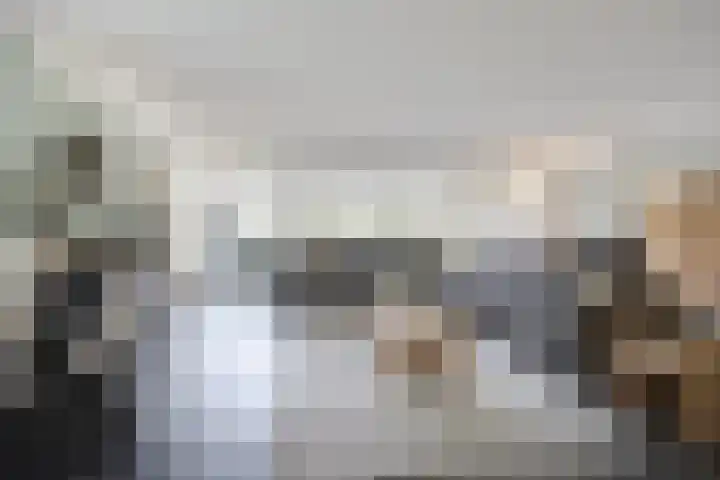 Hogestraat 3 Bosschenhoofd thumbnail 12