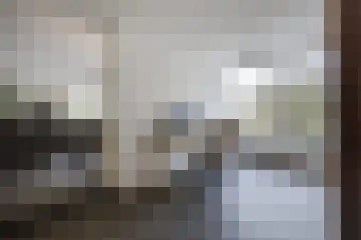 Hogestraat 3 Bosschenhoofd thumbnail 15