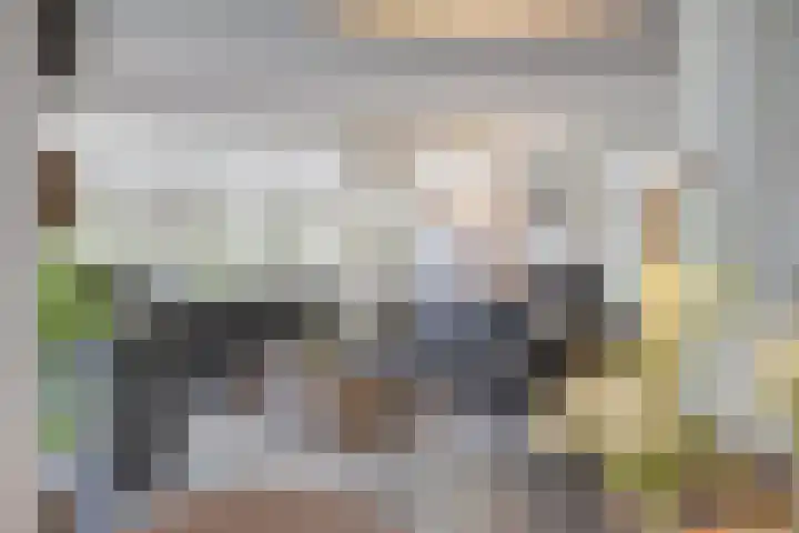 Hogestraat 3 Bosschenhoofd thumbnail 18