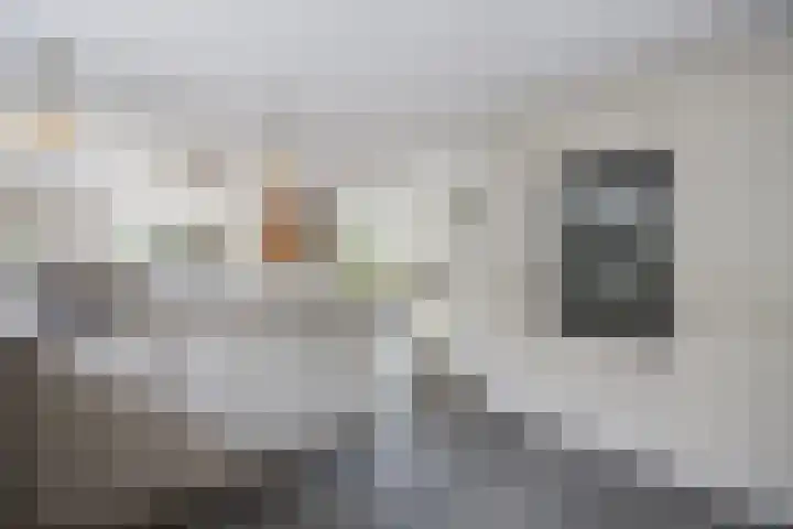 Hogestraat 3 Bosschenhoofd thumbnail 24