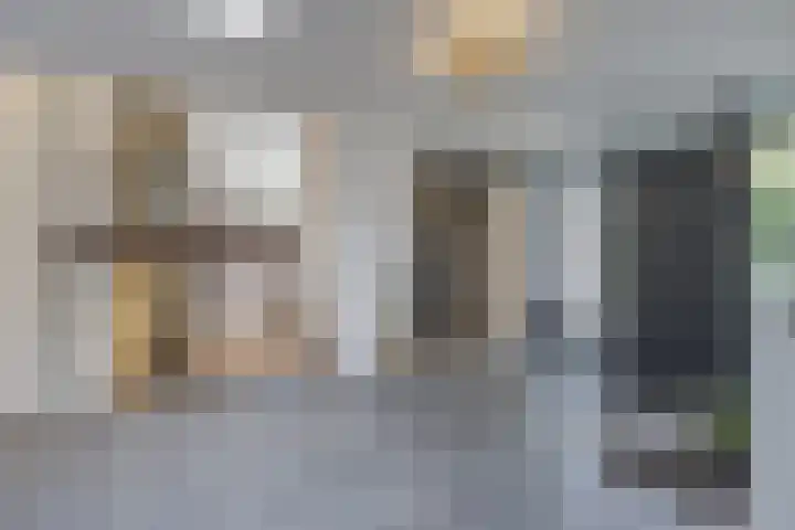 Hogestraat 3 Bosschenhoofd thumbnail 26