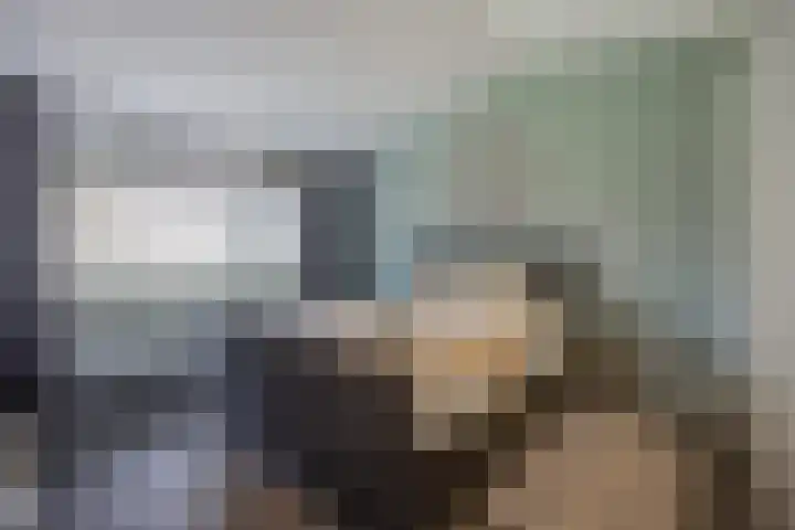 Hogestraat 3 Bosschenhoofd thumbnail 28