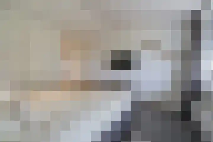 Hogestraat 3 Bosschenhoofd thumbnail 29