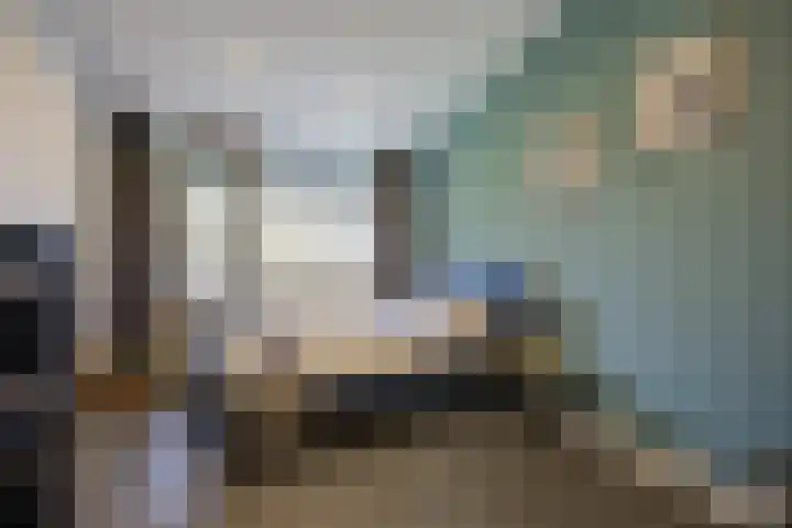 Hogestraat 3 Bosschenhoofd thumbnail 34