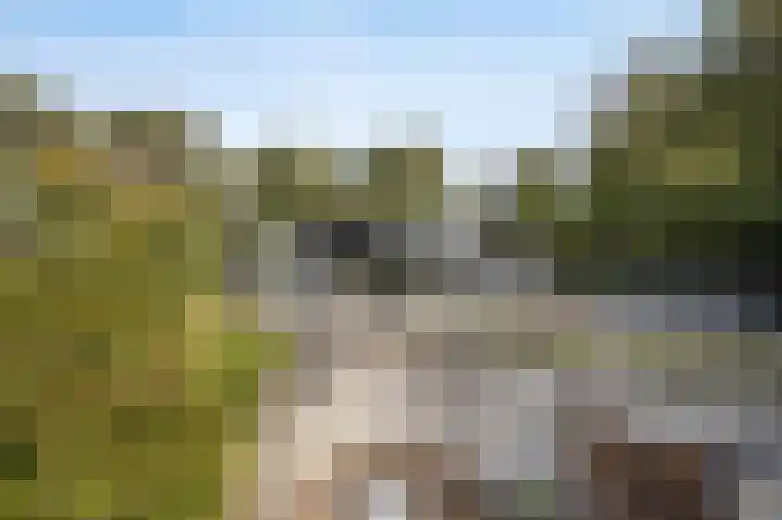 Hogestraat 3 Bosschenhoofd thumbnail 4