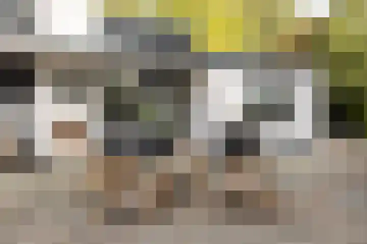 Hogestraat 3 Bosschenhoofd thumbnail 49