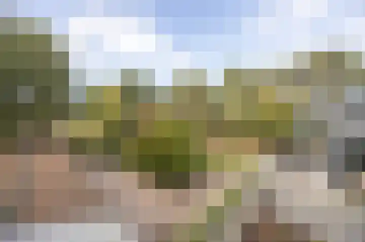 Hogestraat 3 Bosschenhoofd thumbnail 50