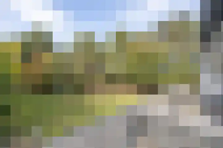 Hogestraat 3 Bosschenhoofd thumbnail 51