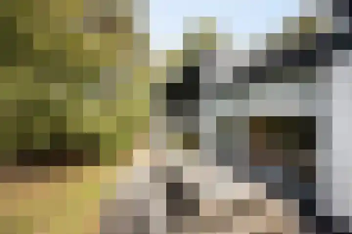 Hogestraat 3 Bosschenhoofd thumbnail 54
