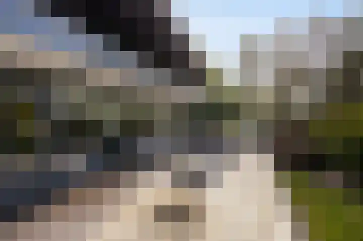 Hogestraat 3 Bosschenhoofd thumbnail 57