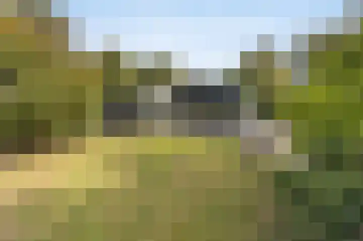 Hogestraat 3 Bosschenhoofd thumbnail 59